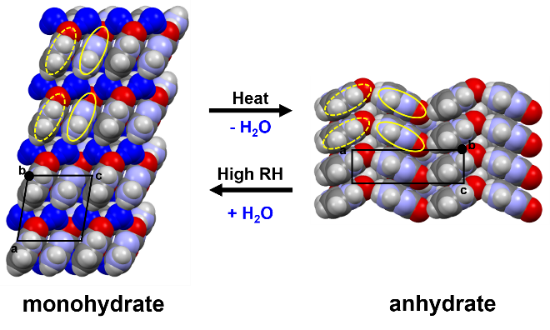 Cooperative Rotational